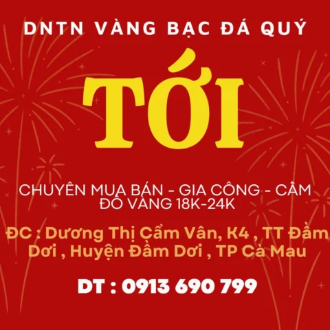 Giá Vàng Kim Hoàn Cà Mau 2026: Dự Báo và Phân Tích Chuyên Sâu Biểu đồ giá vàng kim hoàn Cà Mau