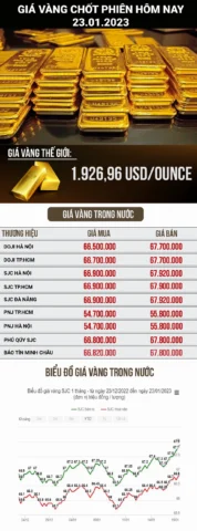 Biểu đồ giá vàng thị trường