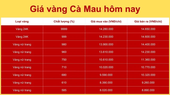 Giá Vàng Cà Mau Ngày Hôm Nay: Cập Nhật Mới Nhất 2026 Biểu đồ xu hướng giá vàng Cà Mau năm 2026