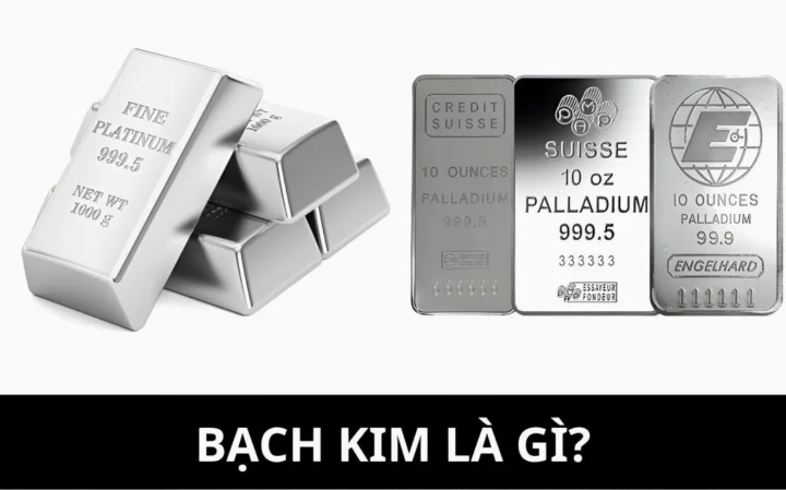 gia-bach-kim-hom-nay-phan-tich-chi-tiet-va-du-bao-2026_904