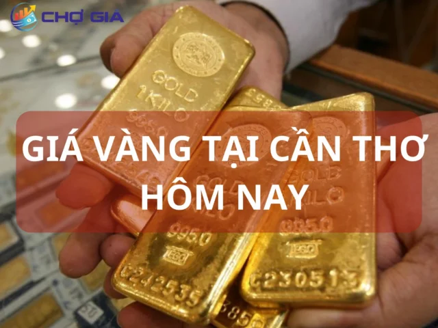 Giá Vàng SJC Cần Thơ Hôm Nay: Cập Nhật Mới Nhất 2026 So sánh giá vàng SJC và các loại vàng khác tại Cần Thơ