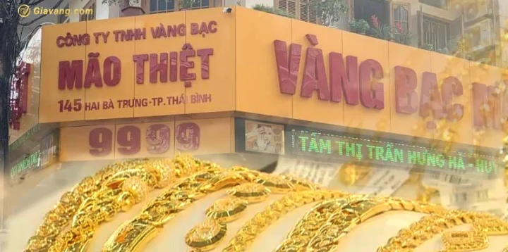 Vàng Mão Thiệt Thái Bình Giá Bao Nhiêu 1 Chỉ? Cập Nhật 2026 Trang sức vàng tại cửa hàng uy tín