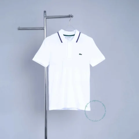 Áo polo Lacoste nam nhiều màu