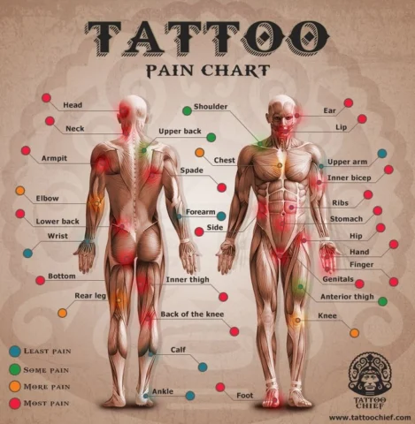 Bản đồ mức độ đau trên cơ thể khi xăm