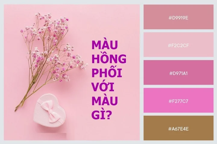 Bảng màu phối đồ với màu hồng