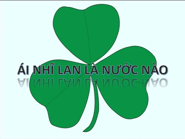 Bia Guinness và văn hóa pub Ireland