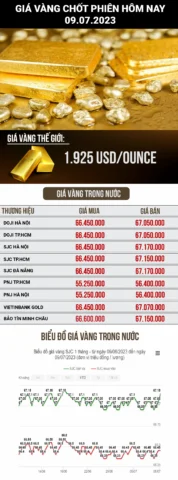 Giá Vàng tại Quy Nhơn Hôm Nay: Cập Nhật & Phân Tích 2026 Biến động giá vàng hôm nay