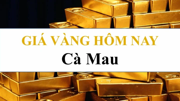 Biểu đồ giá vàng hôm nay tại Cà Mau