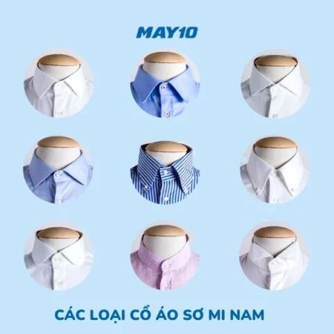 cac-loai-co-ao-pho-bien-nhat-2026-huong-dan-chon-lua_392