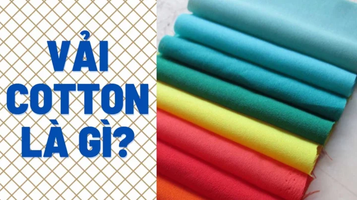 Vải Cotton là gì? Khám phá chi tiết ưu nhược điểm và ứng dụng (2026) Vải cotton là gì?