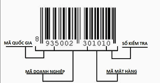 Mã vạch 697 của nước nào? Phân tích chi tiết và cập nhật 2026 Cấu trúc mã số mã vạch