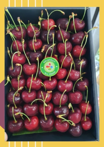 Cherry Nước Nào Ngon Nhất? Khám Phá Vị Ngọt Từ Các Vùng Trồng Uy Tín Cherry Canada đỏ mọng