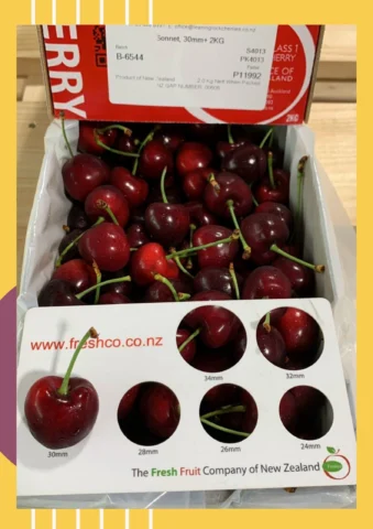 Cherry Nước Nào Ngon Nhất? Khám Phá Vị Ngọt Từ Các Vùng Trồng Uy Tín Cherry New Zealand tươi ngon