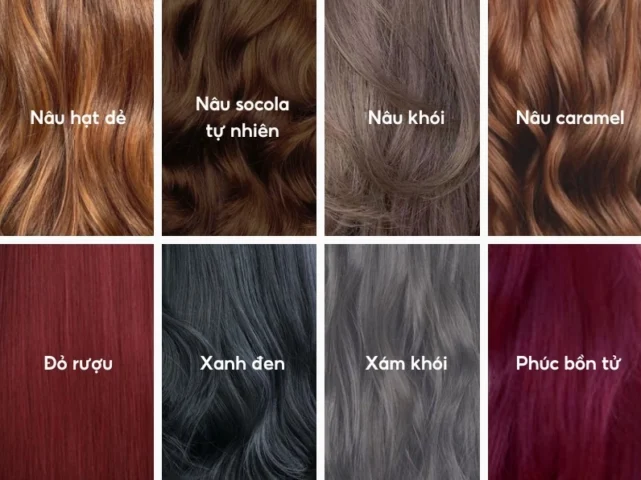da-en-nhuom-toc-mau-gi-xu-huong-2026-bi-quyet-chon-mau-ton-d_301