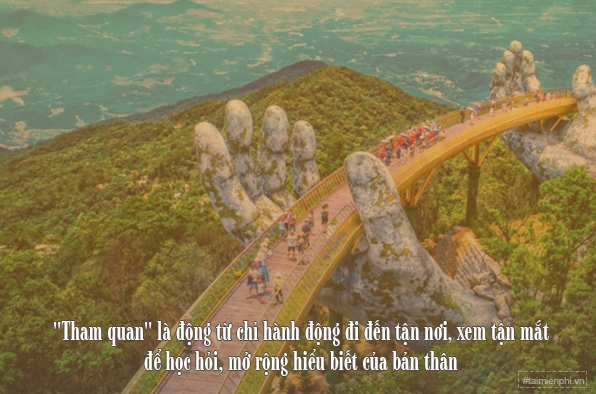 Du khách tham quan vườn trái cây