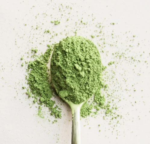 Dụng cụ muỗng tre (chashaku) múc bột matcha