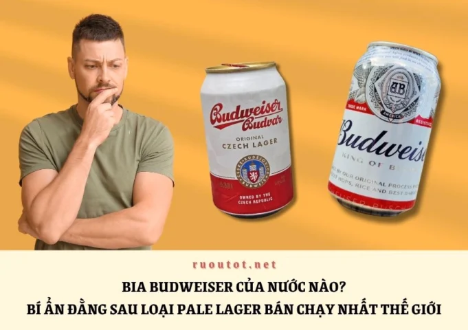 Hình ảnh lon bia Budweiser