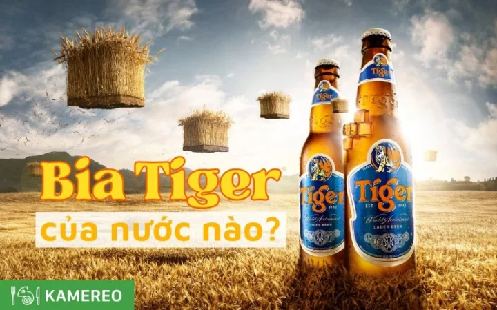 Bia Tiger Của Nước Nào? Khám Phá Nguồn Gốc Và Hành Trình Chinh Phục Thế Giới Hình ảnh minh họa thương hiệu bia Tiger