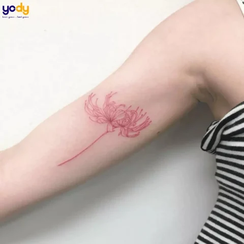 Hình xăm bỉ ngạn mini màu đỏ quyến rũ