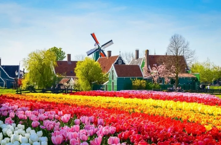 Dutch là nước nào? Giải mã nguồn gốc và ý nghĩa từ A-Z Kiến trúc nhà ở Hà Lan