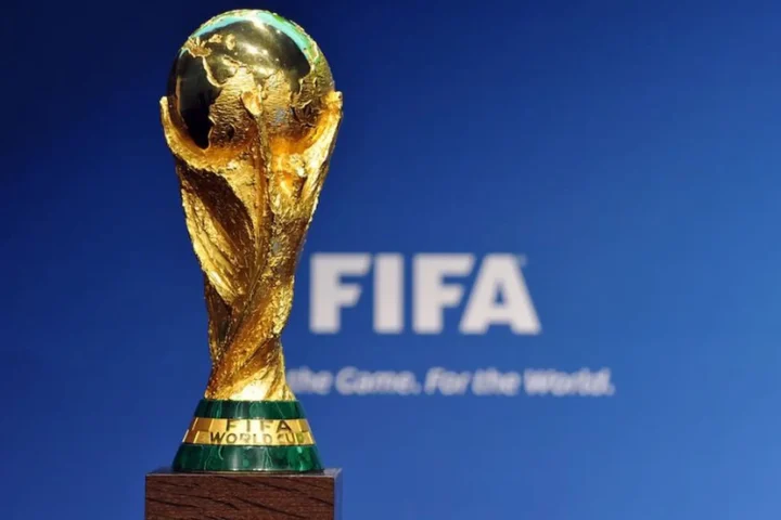 World Cup 2026 Tổ Chức Ở Đâu? Thông Tin Chi Tiết Sân vận động hiện đại