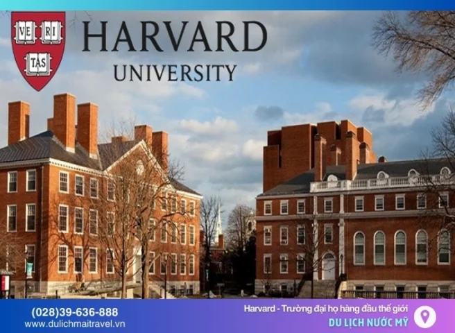 Sinh viên tại Đại học Harvard