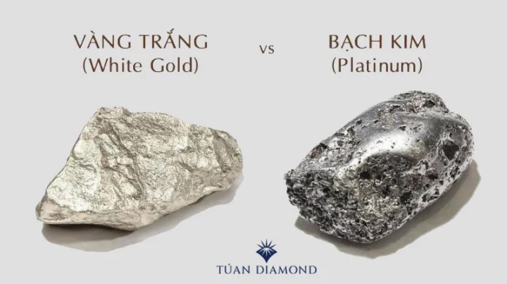 Sự khác biệt giữa bạch kim và vàng