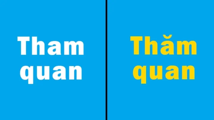 tham-quan-hay-tham-quan-phan-biet-chuan-dung-ung-ca-2026_486