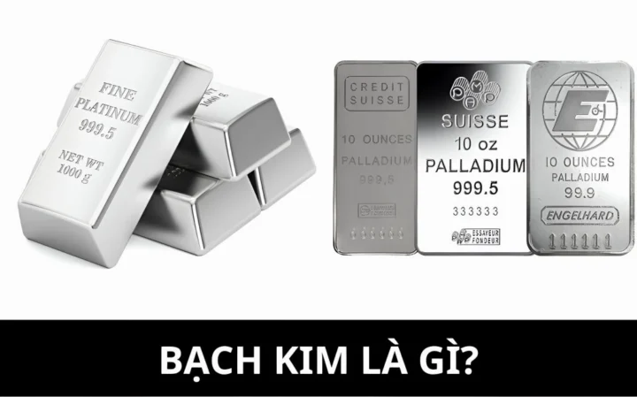 Giá Bạch Kim Hôm Nay Bao Nhiêu 1 Chỉ? Cập Nhật 2026 Tìm hiểu bạch kim là gì