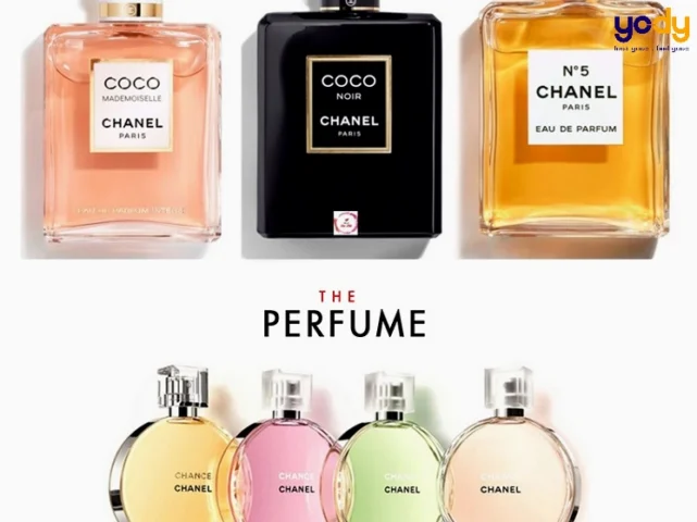 Nước hoa Chanel nữ mùi nào thơm nhất 2026: Khám phá "chân ái" Tổng hợp các chai nước hoa Chanel nữ thơm nhất