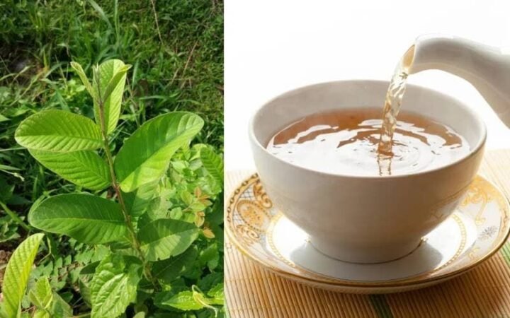 uong-nuoc-la-oi-giam-can-vao-luc-nao-tot-nhat