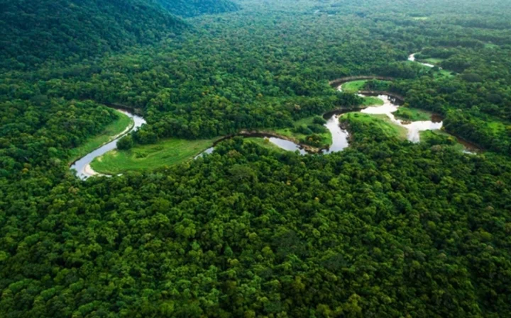 Đa dạng sinh học phong phú trong rừng nguyên sinh với nhiều loài động thực vật