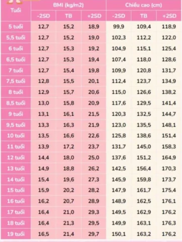 Chỉ Số BMI Bình Thường: Hướng Dẫn Chi Tiết & Ý Nghĩa 2026 Bác sĩ tư vấn sức khỏe cho bệnh nhân
