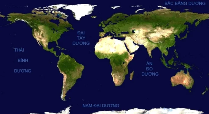 Khám phá Các Châu Lục Trên Thế Giới: Kiến Thức Toàn Diện 2026 Bản đồ các châu lục trên thế giới