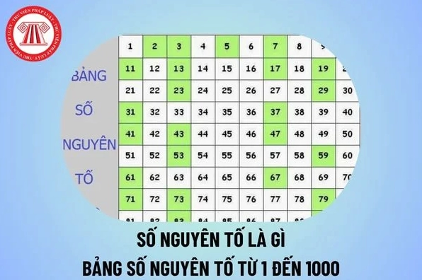 1 có phải số nguyên tố không? Giải mã định nghĩa toán học Bảng các số nguyên tố từ 1 đến 1000