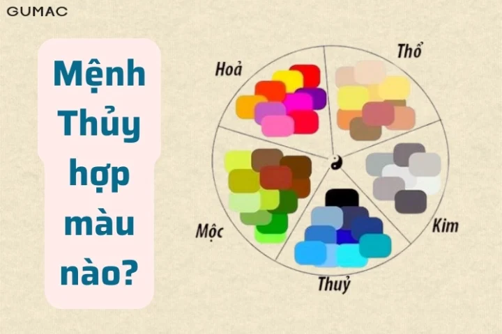 Mệnh Thủy hợp màu vàng không? Giải mã chuyên sâu 2026 Bảng màu phong thủy theo mệnh