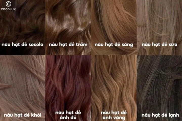 Bảng màu tóc nâu hạt dẻ trầm với nhiều sắc thái khác nhau