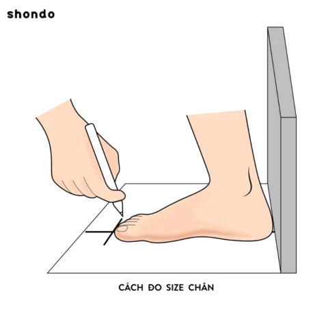 Hướng Dẫn Cách Đo Chiều Dài Chân Chuẩn Xác 2026 Bảng quy đổi size giày nam theo chiều dài chân