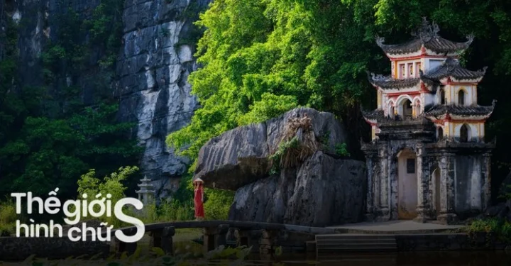 bich-ong-kham-pha-ve-ep-ky-vi-va-lich-su-ngan-nam-o-ninh-bin_765