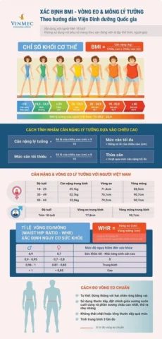 Biểu đồ phân loại chỉ số BMI