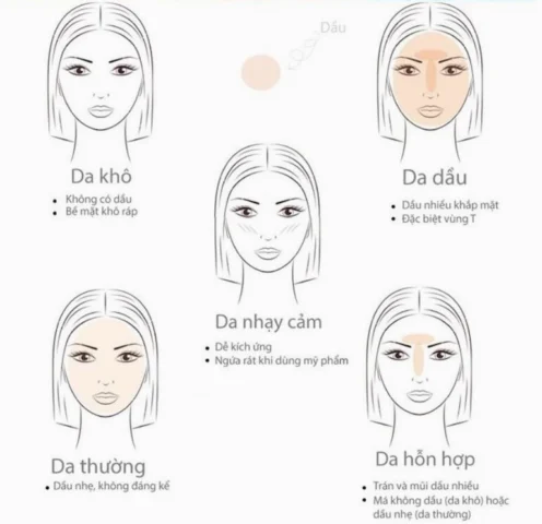 Bí Kíp Cách Xác Định Loại Da Mặt Chuẩn 2026 Các loại da cơ bản