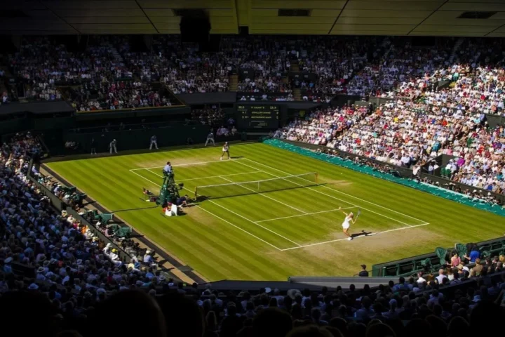 Wimbledon: Giải đấu thường niên của bộ môn nào? Các tay vợt thi đấu tại Wimbledon