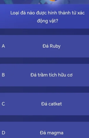 Loại Đá Nào Được Hình Thành Từ Xác Động Vật: Khám Phá Bí Ẩn Khoáng Sản Cận cảnh cấu trúc của đá vôi với các hóa thạch nhỏ