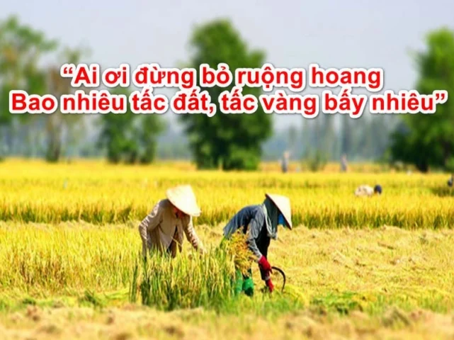 Ca Dao Về Quê Hương: Tình Yêu Bất Diệt Với Đất Mẹ Cánh đồng lúa chín vàng gợi nhớ quê hương