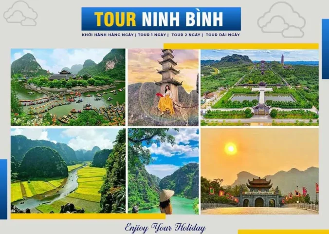 Tour Du Lịch Ninh Bình 2026: Khám Phá Vẻ Đẹp Non Nước Hữu Tình Cánh đồng lúa Tam Cốc mùa vàng
