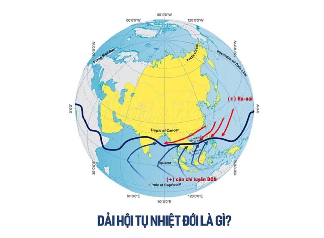 Cảnh quan rừng nhiệt đới với thảm thực vật phong phú