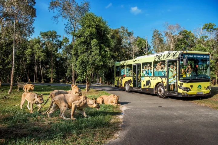 Vinpearl Safari: Khám phá thế giới hoang dã đỉnh cao 2026 Cảnh quan thiên nhiên tại Vinpearl Safari Phú Quốc