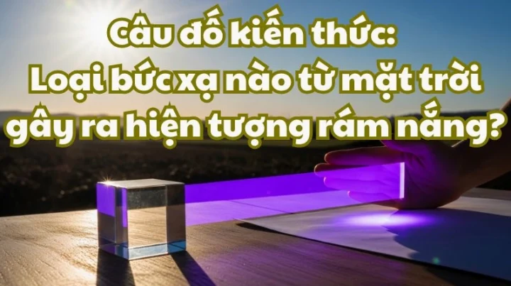 cau-o-kien-thuc-buc-xa-nao-tu-mat-troi-gay-ram-nang_974