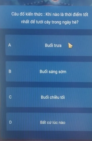 cau-o-kien-thuc-khi-nao-tuoi-cay-tot-nhat-ngay-he_443