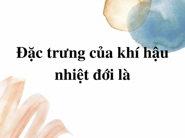 Cấu trúc đa tầng của rừng mưa nhiệt đới